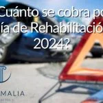 ¿Cuanto se cobra por dia de Rehabilitacion 2024